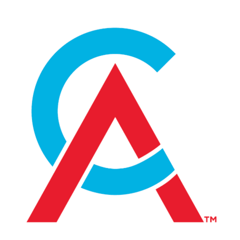 Chartered Accountants ANZ